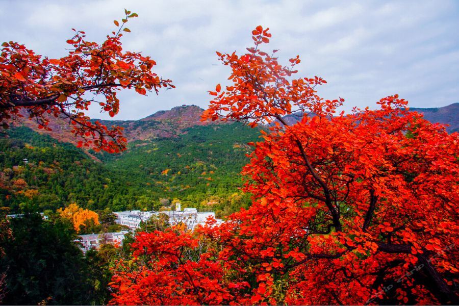 Fragrant Hill Hotel Beijing Exterior photo